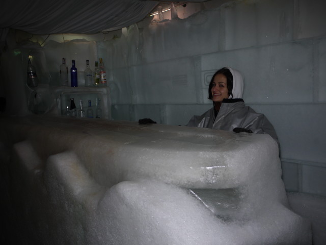 Bar in Ice Club