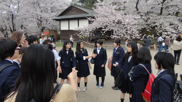 Japan Students Sakura