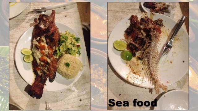 sea food