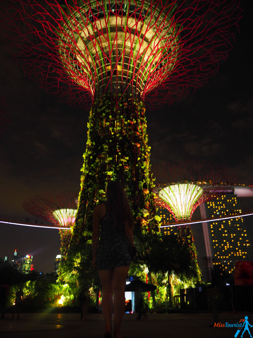 1 things to do in Singapore Super tree show