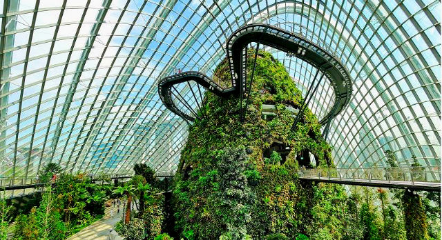 cloud forest singapore