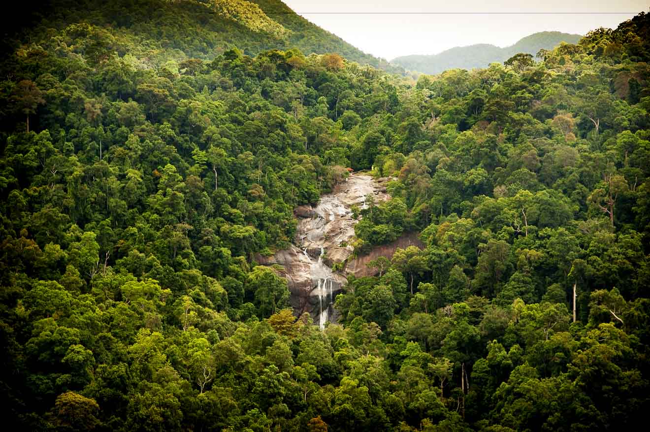 waterfall tropical