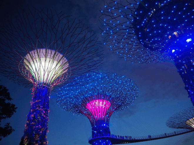 Singapore's Supertree grove at night shining