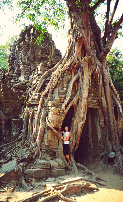 Ta Prohm tree temple Angkor Wat