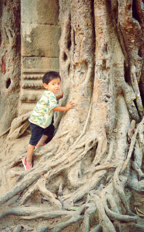 tree temple Angkor Wat baby