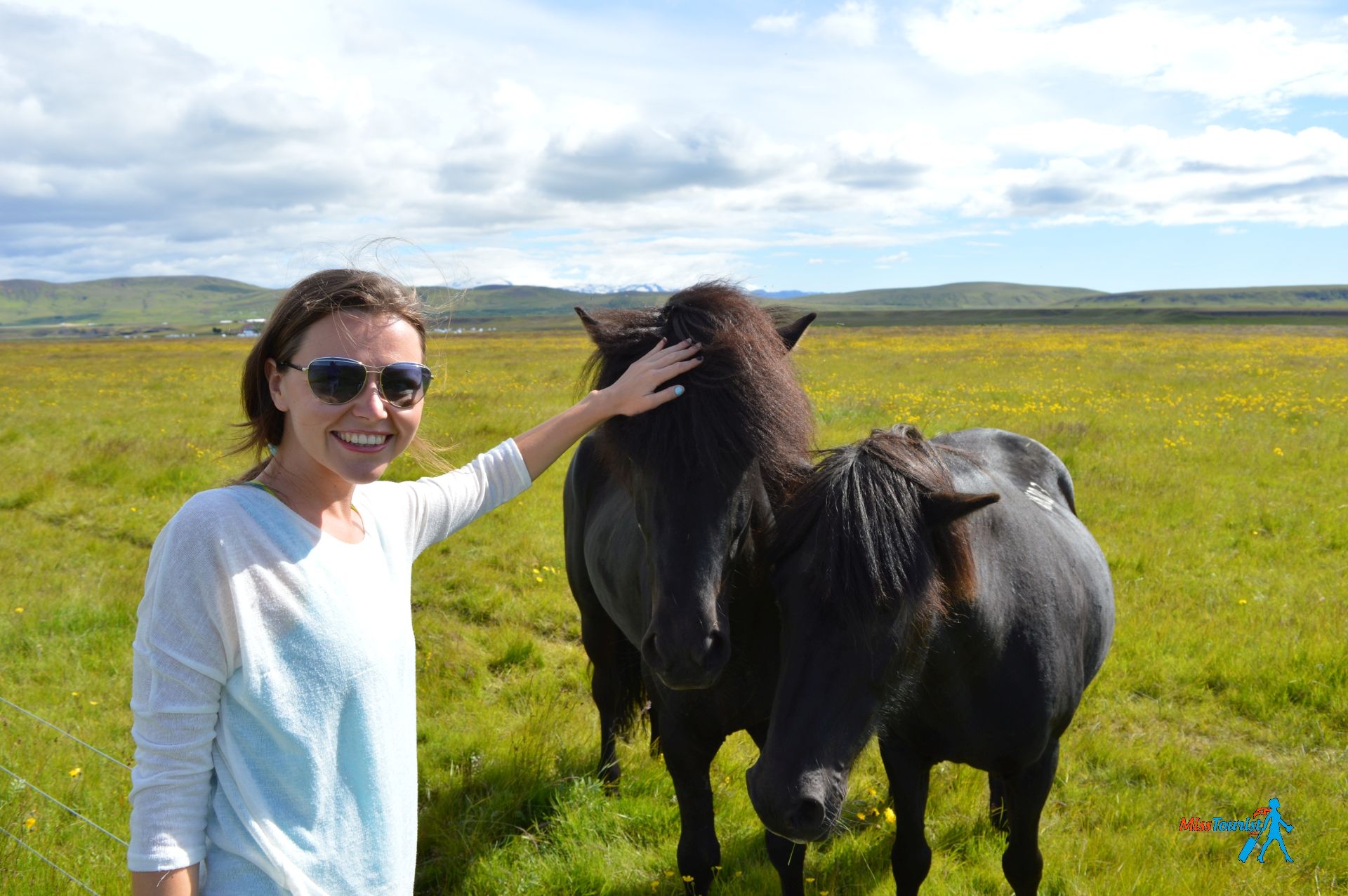 Petting horses on the road Iceland