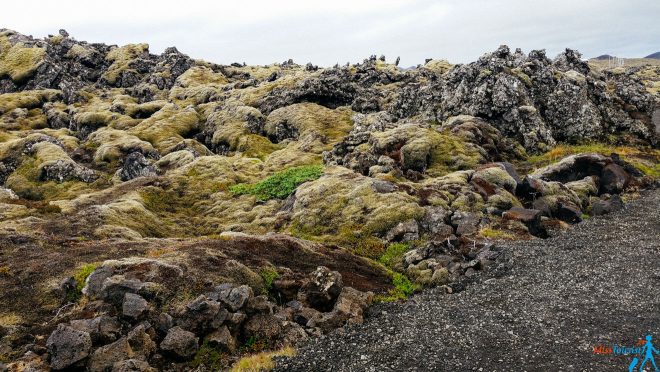 Incredible nature colors in Iceland