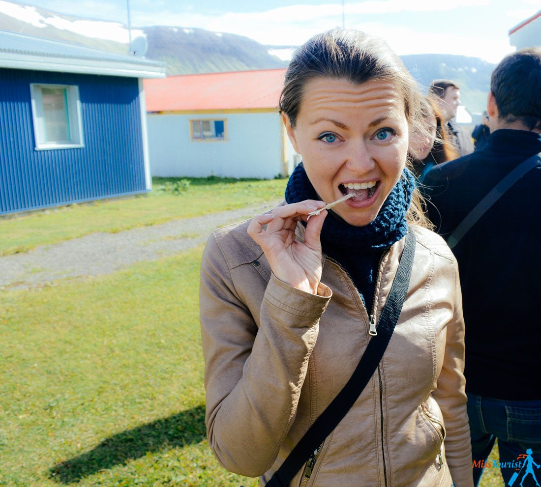 11 Suðureyri food tour