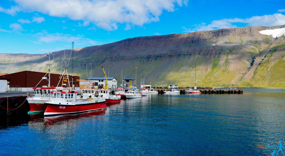 11 Suðureyri