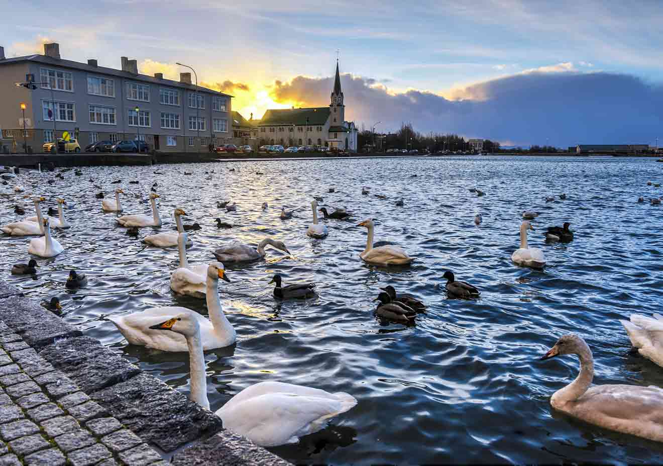 where to go in reykjavik