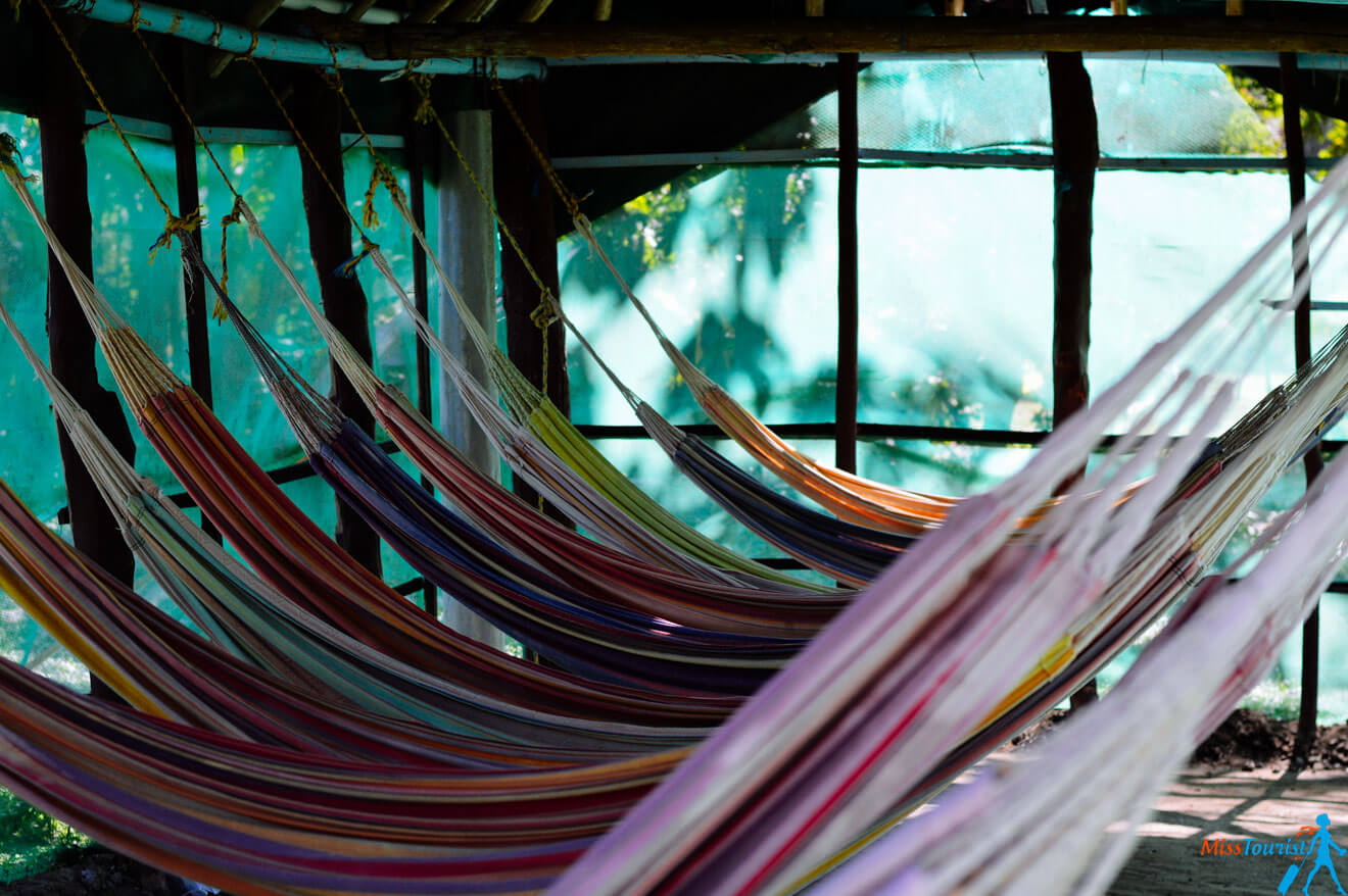 A row of colorful hammocks hanging in a shaded area with green netted walls providing a serene and relaxed environment.