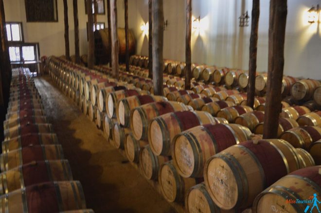 Casa Silva wine cellars Chile