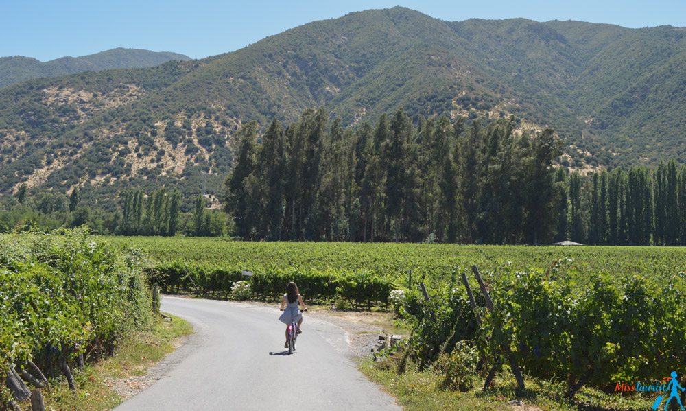 Colchagua valley