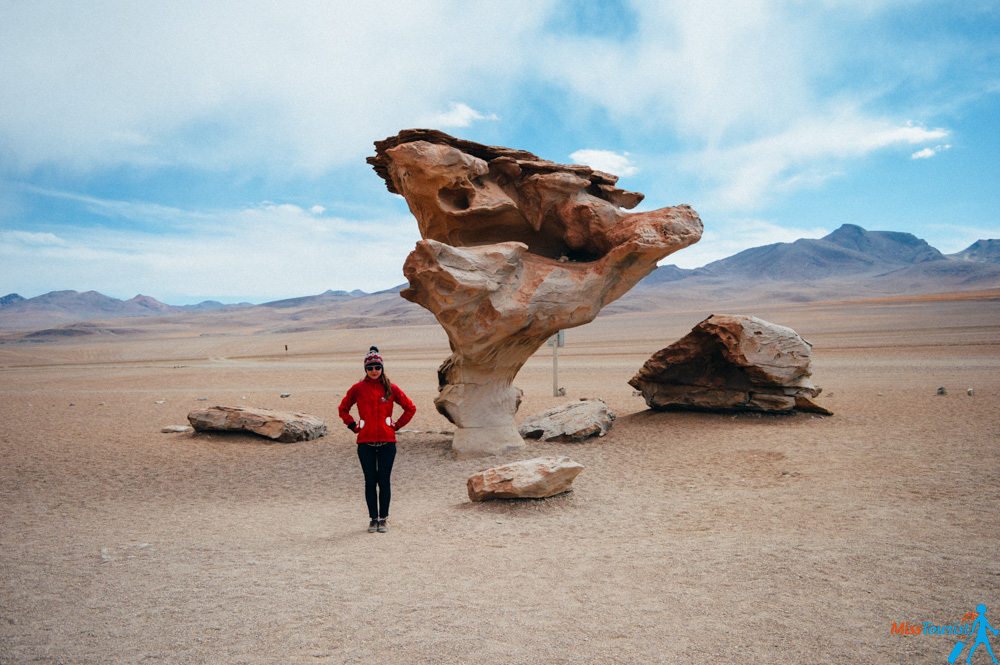 Tree rock Bolivia