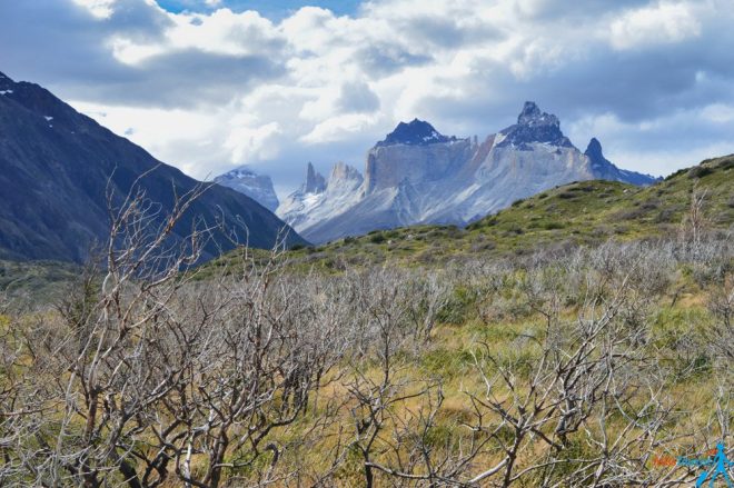 weather torres del paine