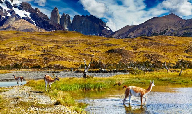 5 Important Things You Need To Know Before Your Torres Del Paine Trek 2