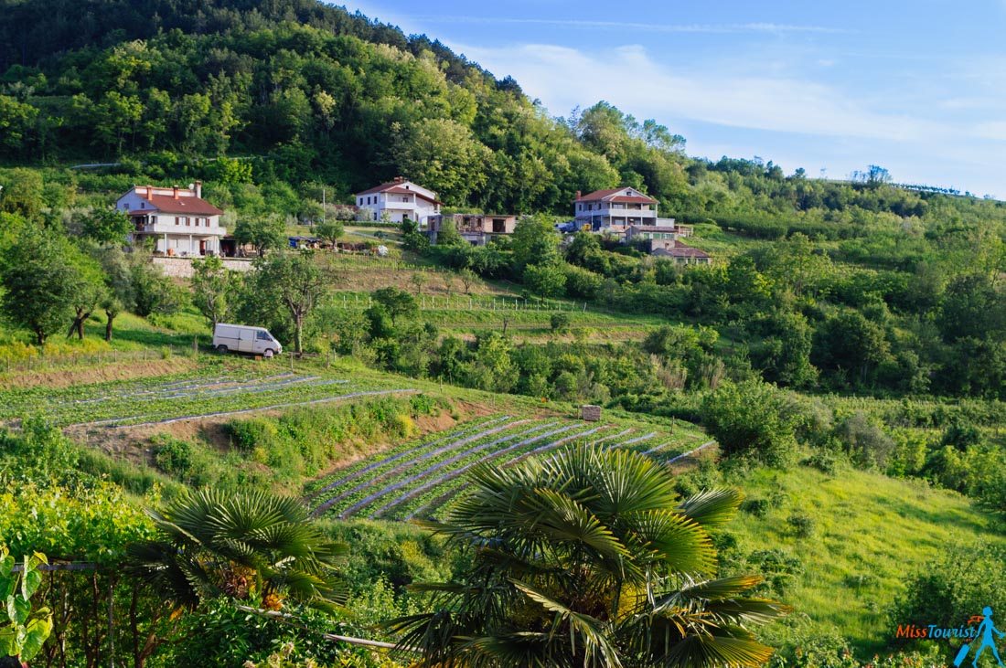 istria-region-in-croatia-lanscape