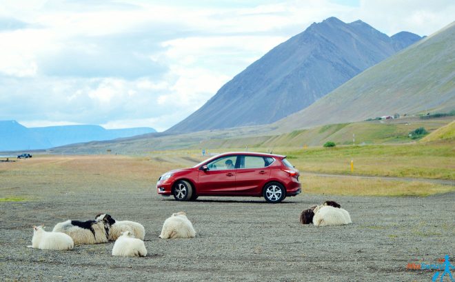 16 Things to Know Before You Hire a Car in Iceland