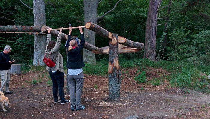 nasslingen wood workout machines