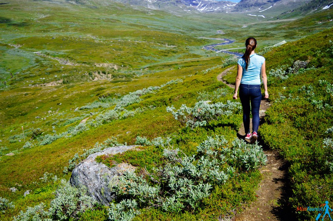 hiking-in-sweden-nature-lapland