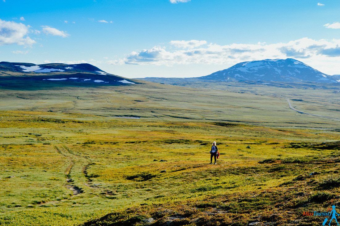 arctic-fox-search-hike-sweden