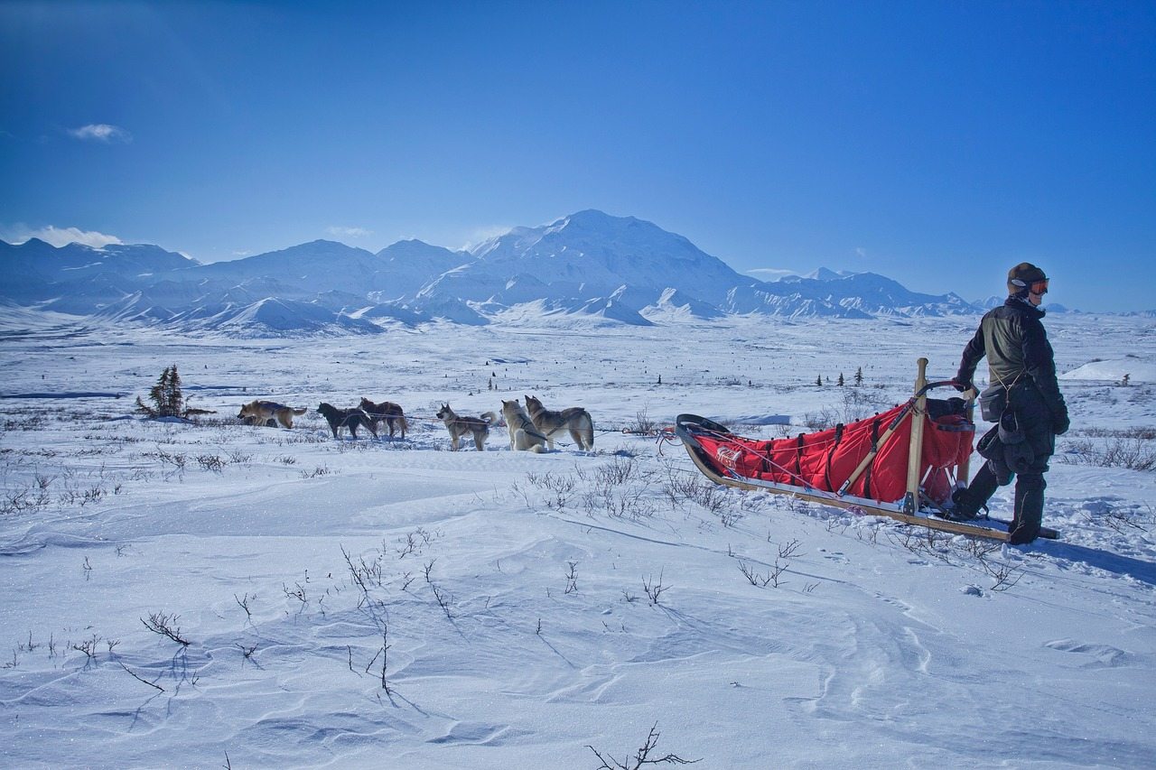 dog-sledding-lapland-winter-sweden