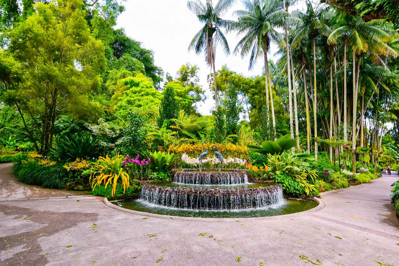 13 Best Things To Do In Singapore botanic gardens 2