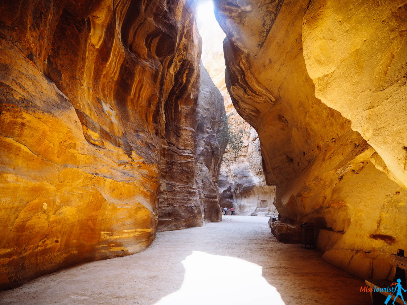 Petra discovery canyon