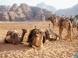 Jordan Travel: Your Guide for a 6 Days Trip (with Prices!)