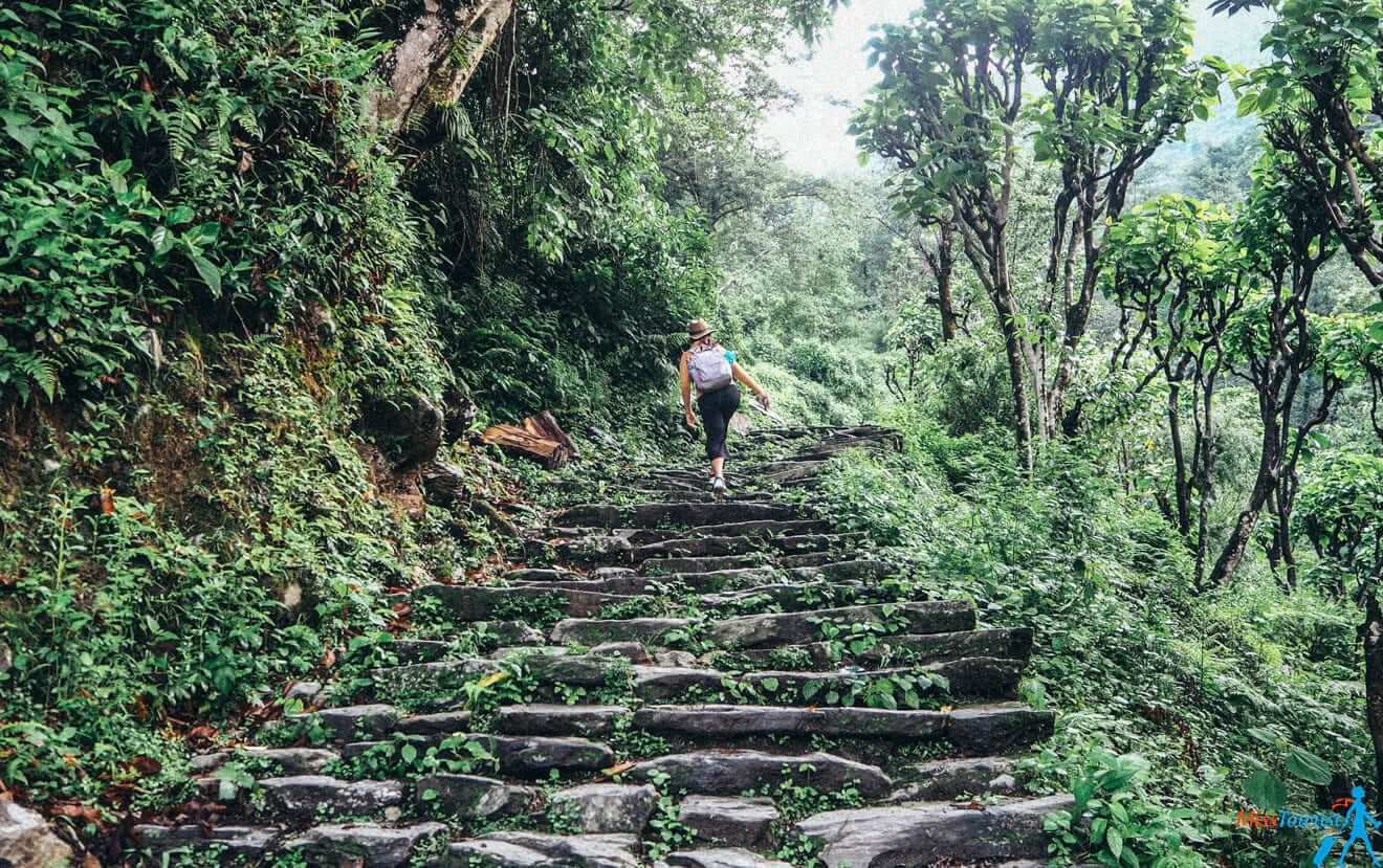 2.2 Poon Hill trek 3600 stairs day 2