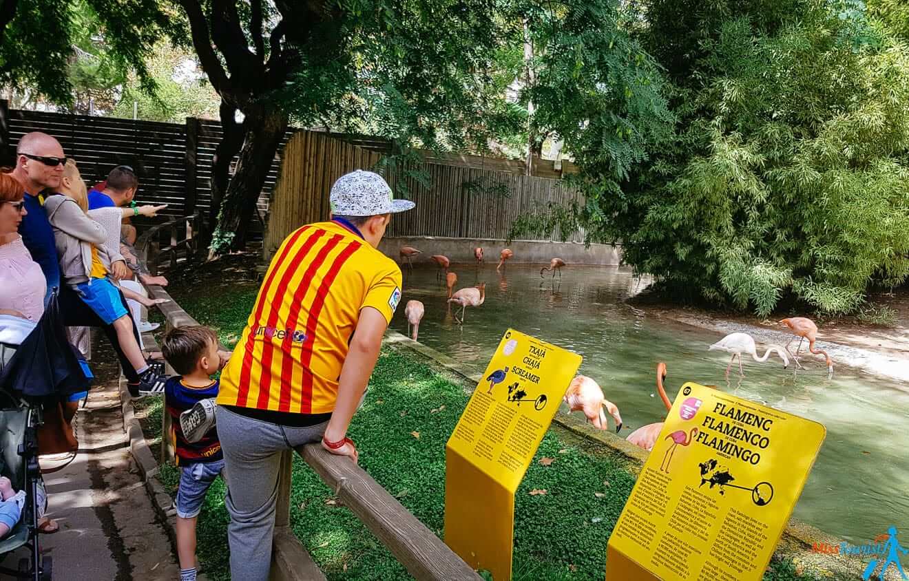 19 barcelona Zoo with kids (1)