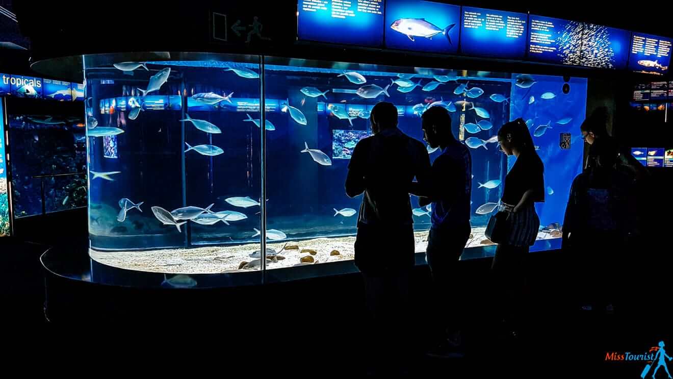 7 Aquarium Barcelona with kids