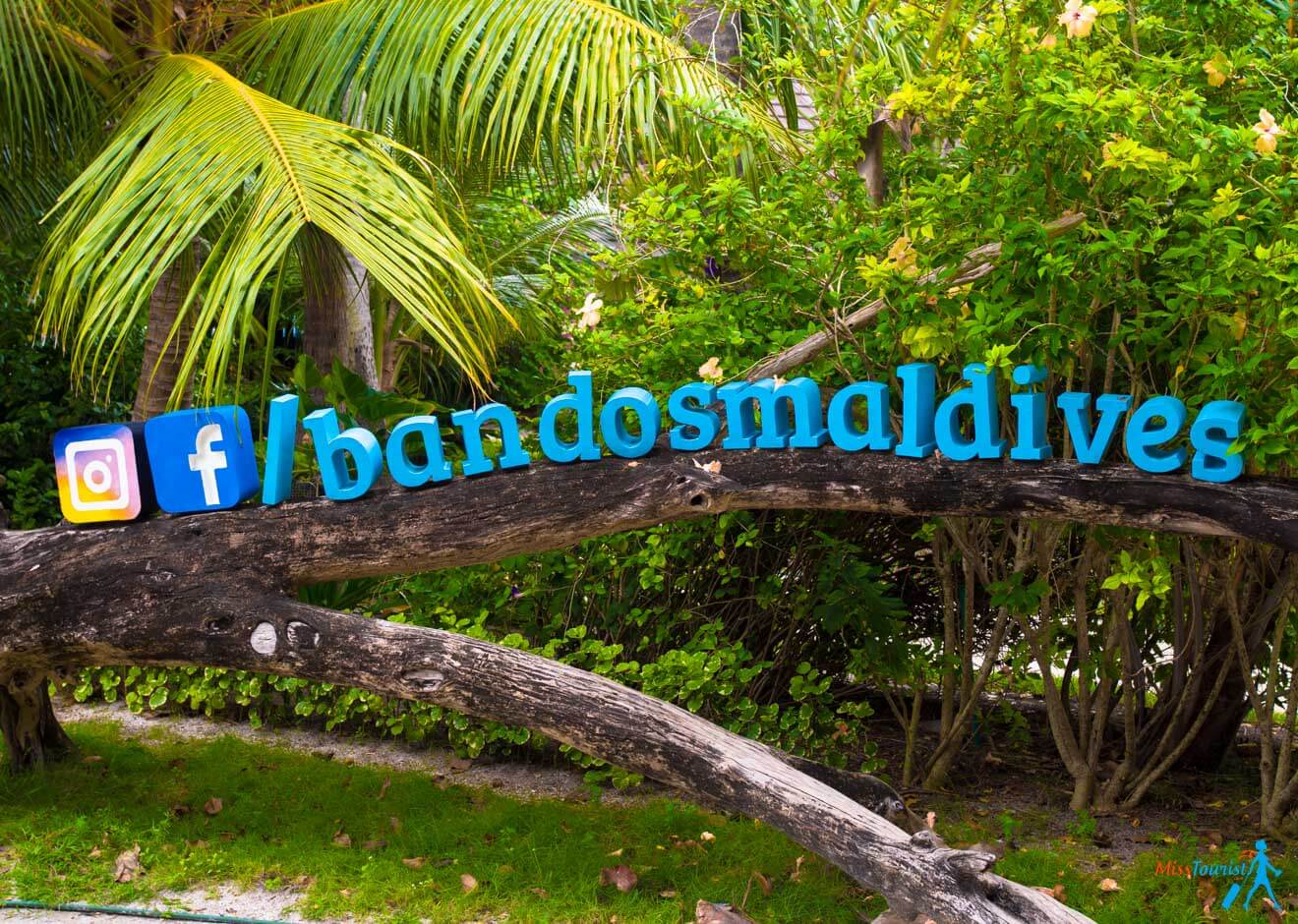 3 Amazing Resorts in the Maldives Bandos