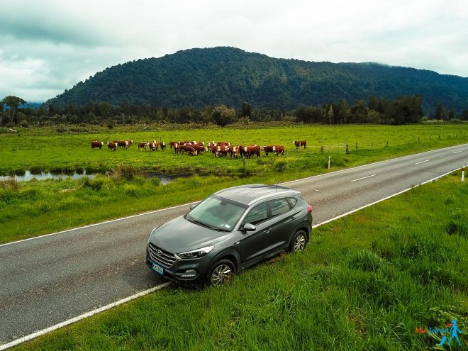 7 things you should know before renting a car in New Zealand 2