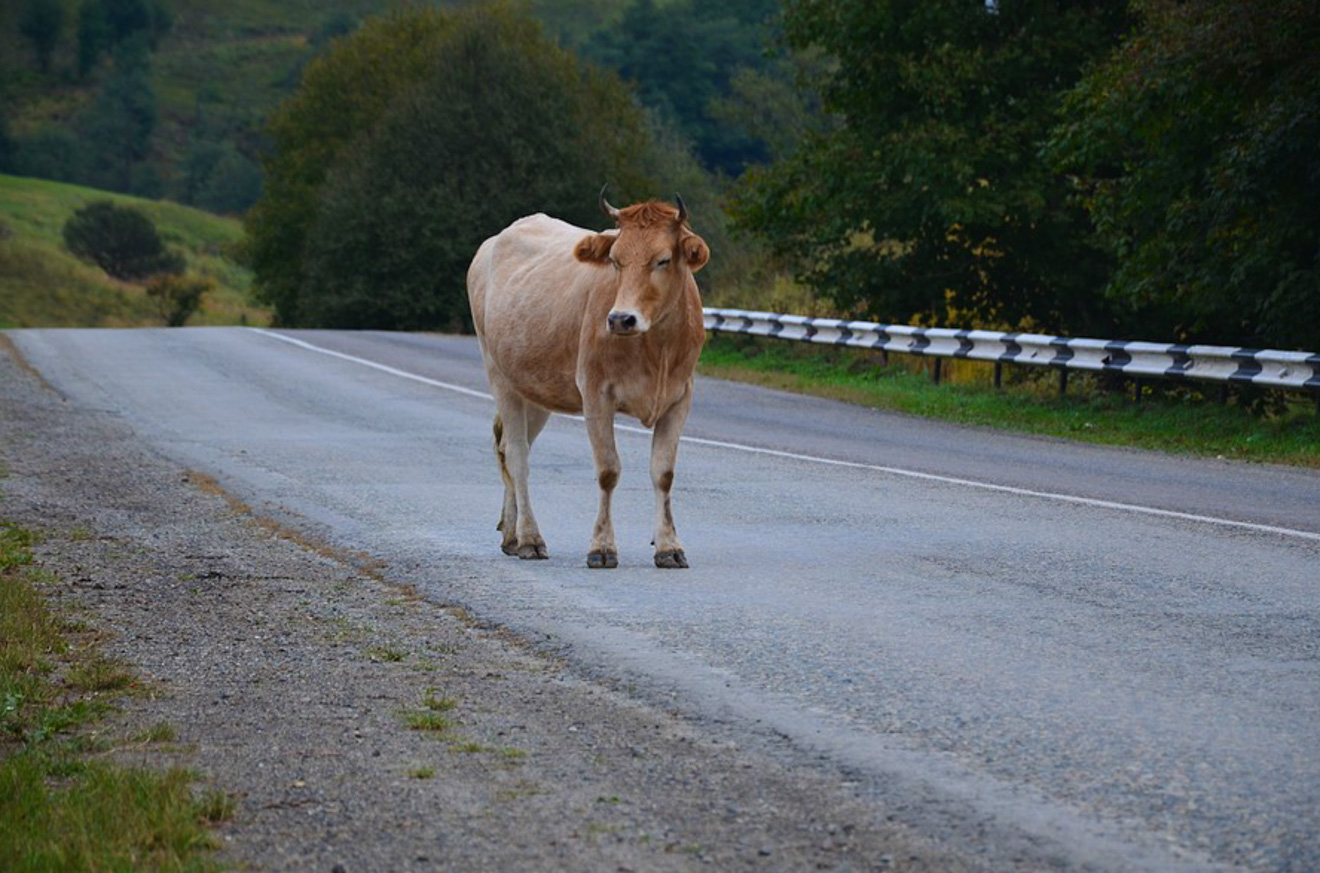 7 things you should know before renting a car in New Zealand 34