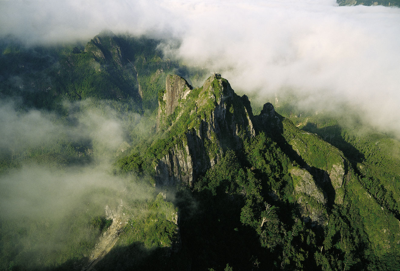 15 Things To Do in Coromandel Peninsula The Pinnacles