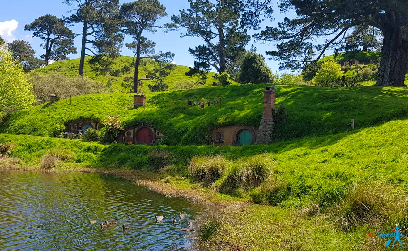 North Island in New Zealand 1 Week Road Trip Hobbiton 2
