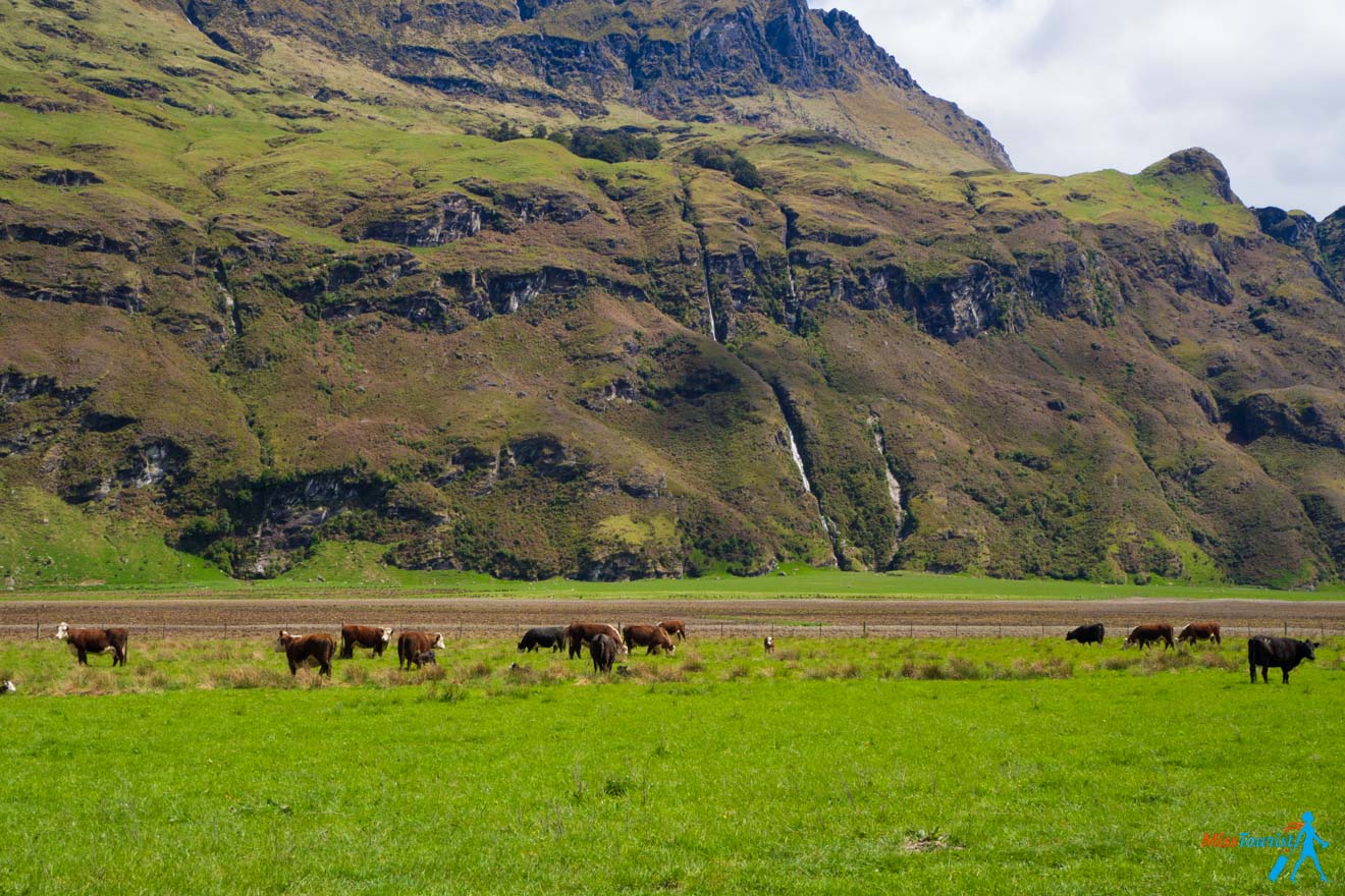 Ultimate South Island Road Trip in New Zealand Mt Aspiring National Park