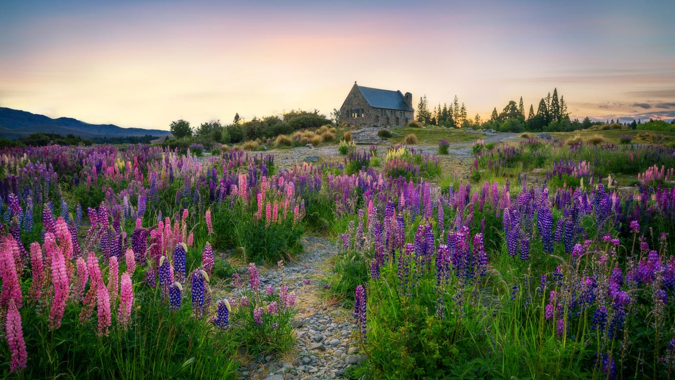 Ultimate South Island Road Trip in New Zealand lake tekapo