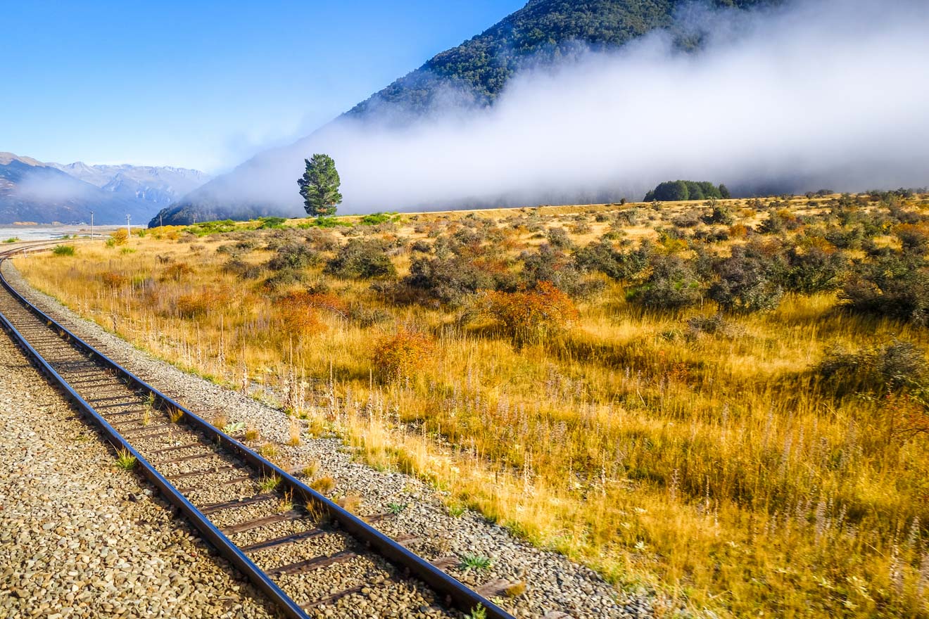 Ultimate South Island Road Trip in New Zealand tranzalpine train road