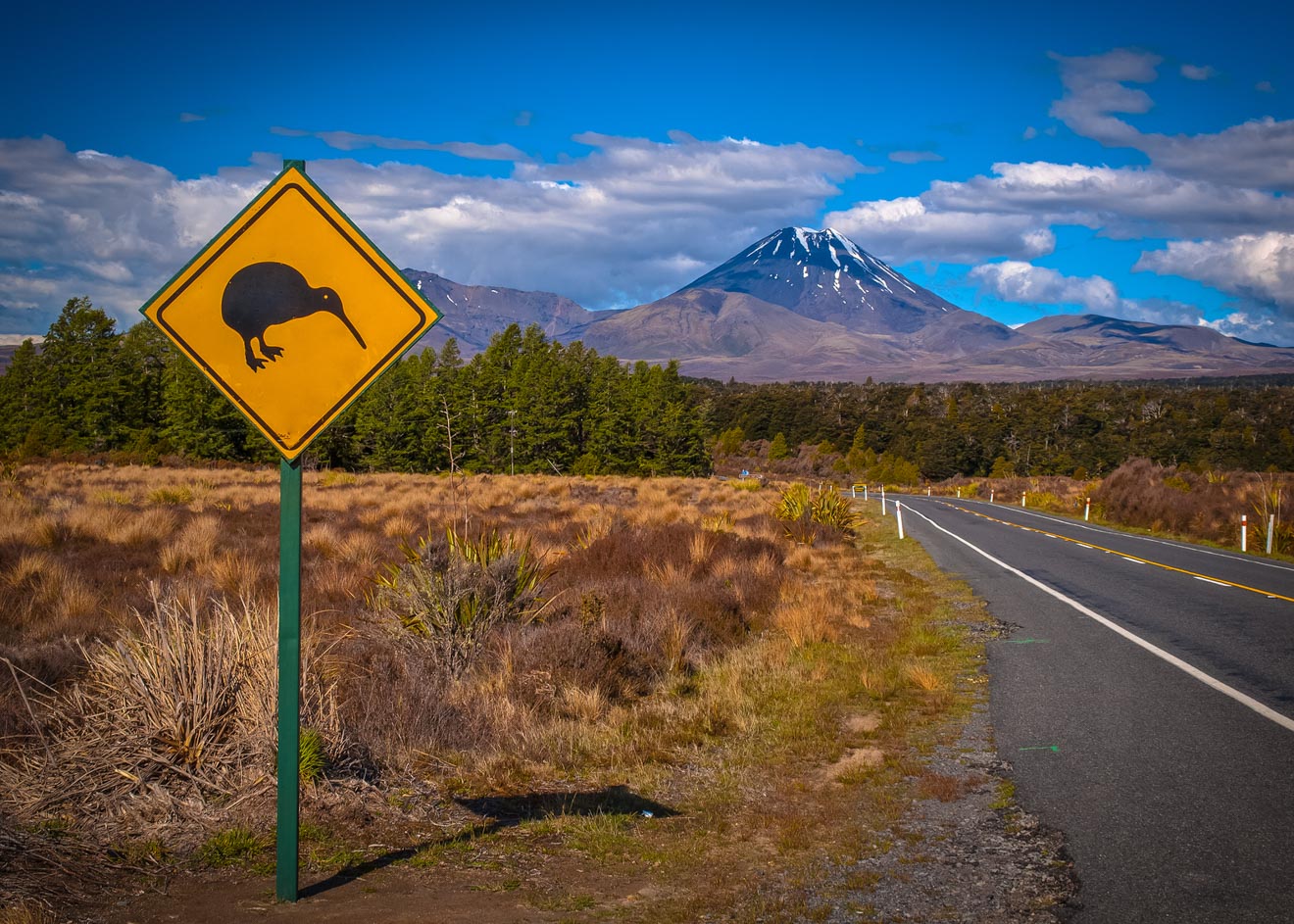 Ultimate South Island Road Trip in New Zealand wiki 2