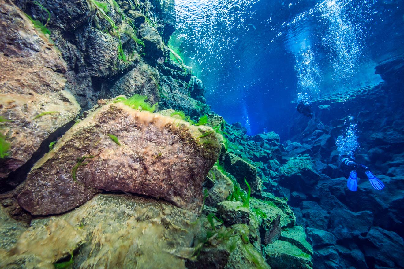 10 Best Tours You Have To Take in Iceland Silfra Fissure dive snorkel 3