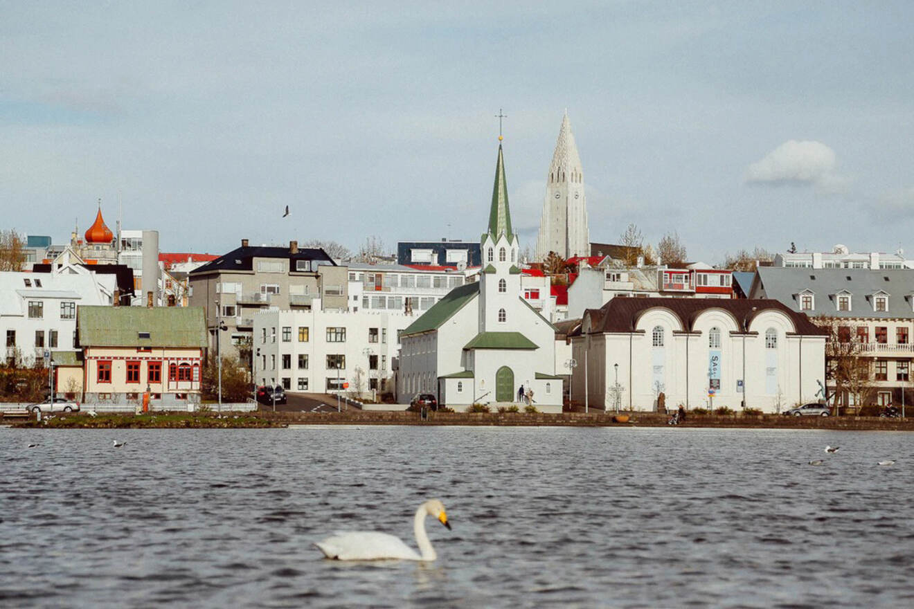 A serene view of Reykjavik, with a white swan on the lake in front of iconic city architecture including the green-roofed Fríkirkjan church and the towering Hallgrímskirkja cathedral