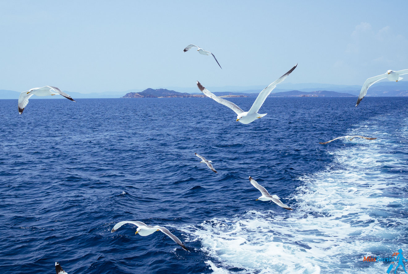 10 Mt Athos boat cruise (2)