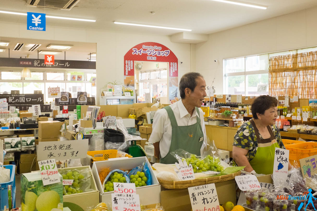 Why You Should Definitely Add Wakayama To Your Japan Itinerary Kinokuni Fruit Village