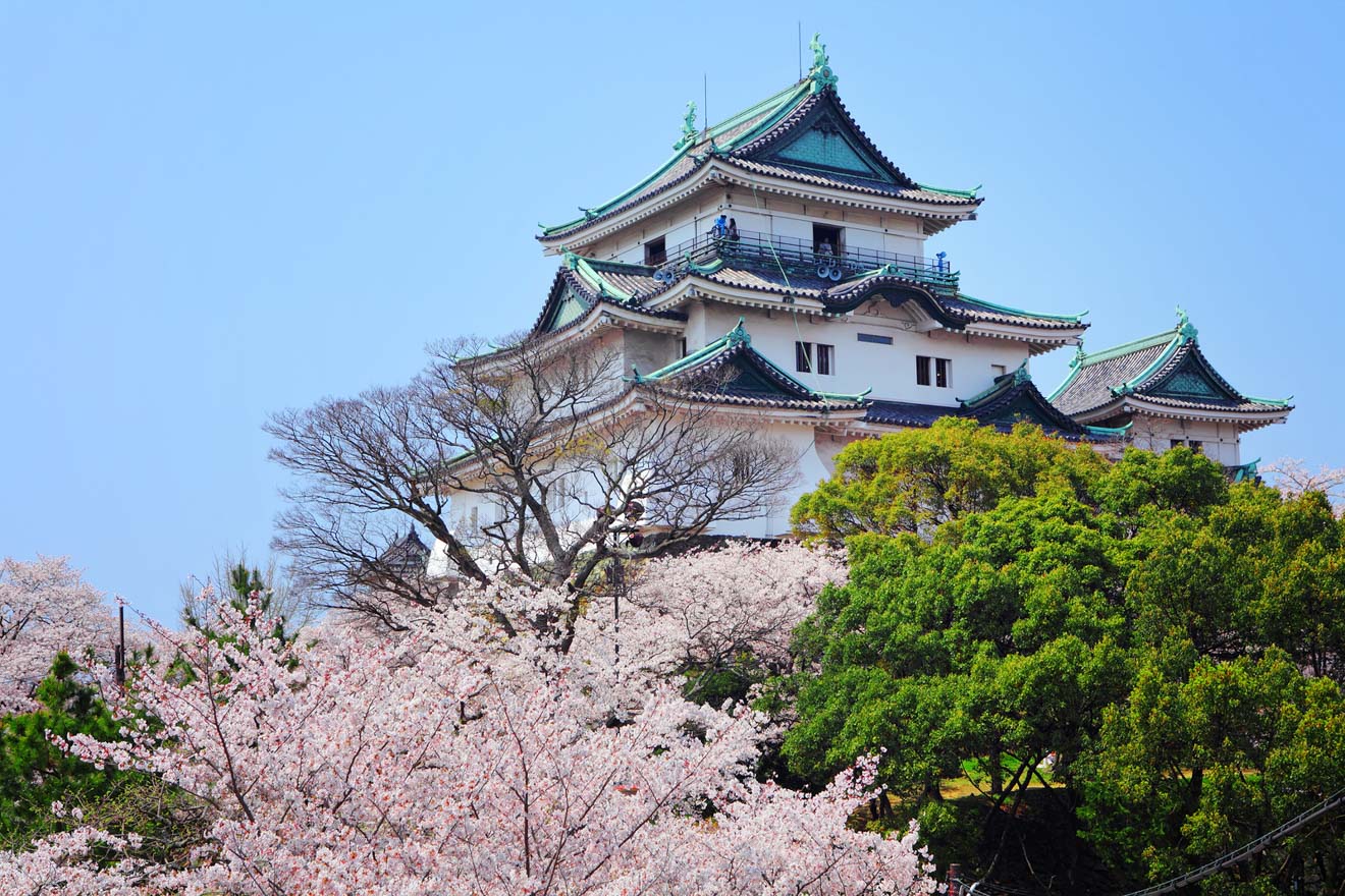 Why You Should Definitely Add Wakayama To Your Japan Itinerary Wakayama Castle cherry blossom