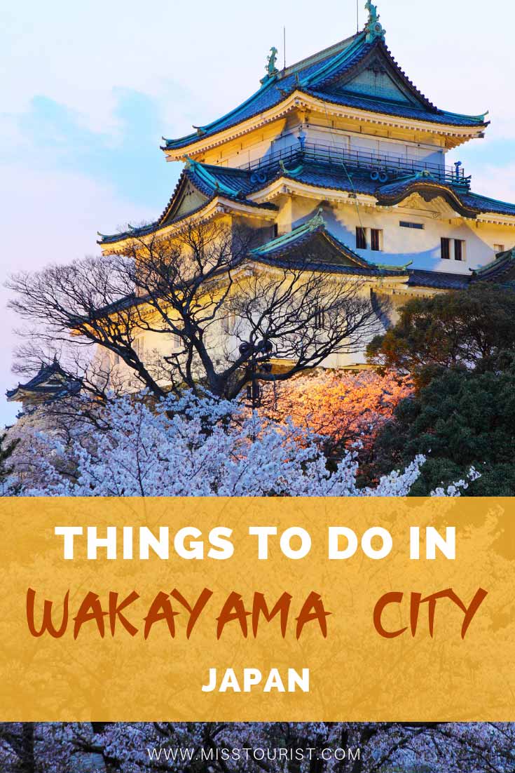 wakayama city