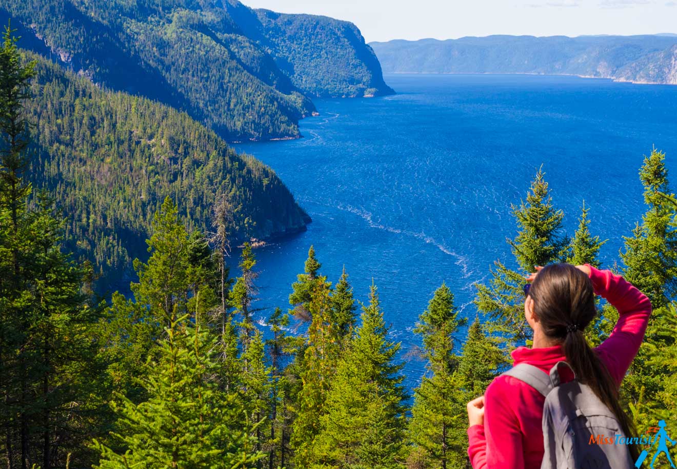 The author of the post in a red jacket looks out over a stunning fjord with deep blue water and lush green forested cliffs.