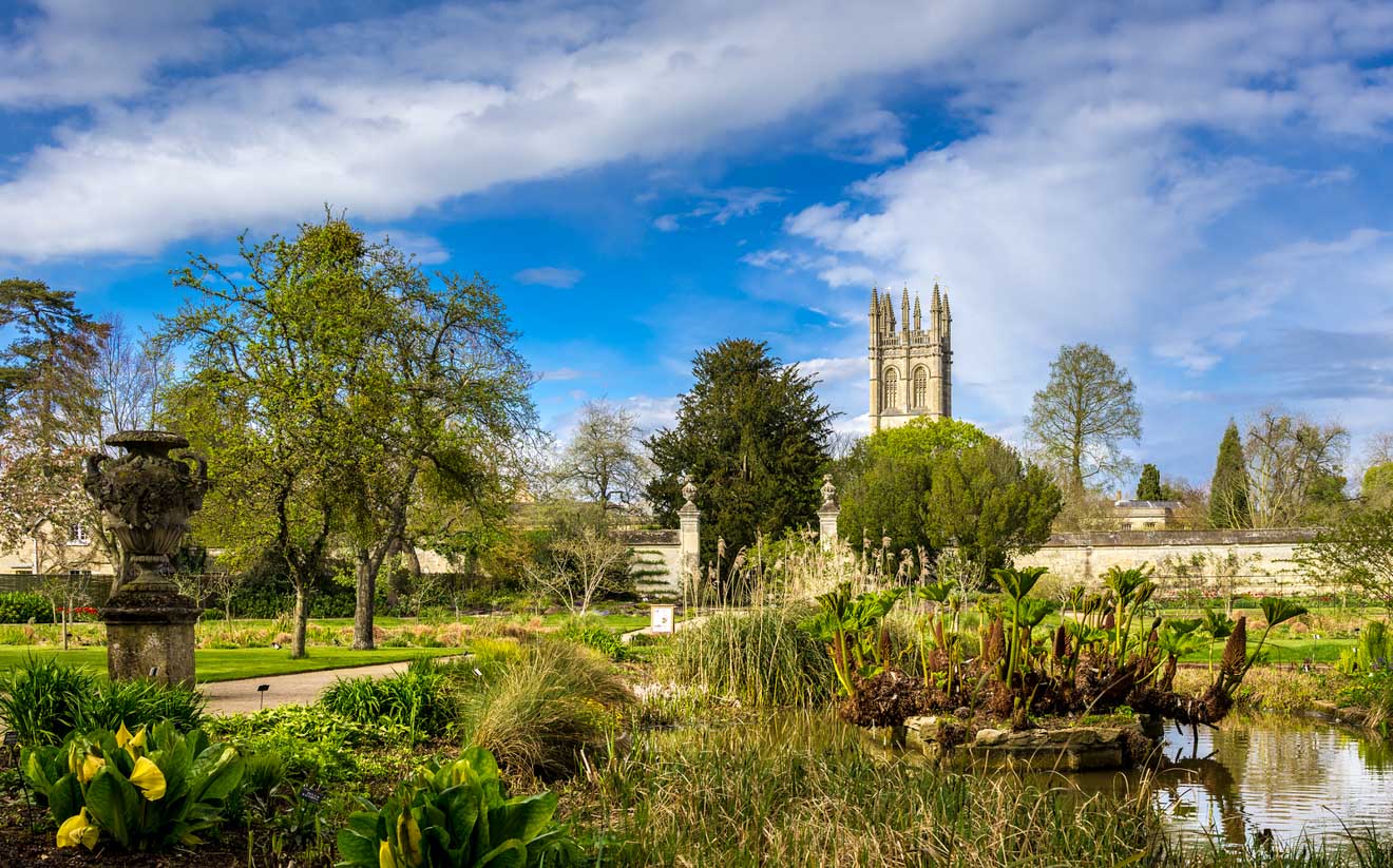 11 Things to do in Oxford oxford botanic garden