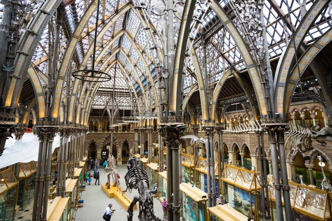 11 Things to do in Oxford oxford natural history museum interior
